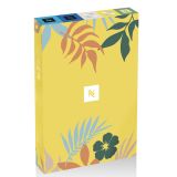 Pack of 5 Summer Selection