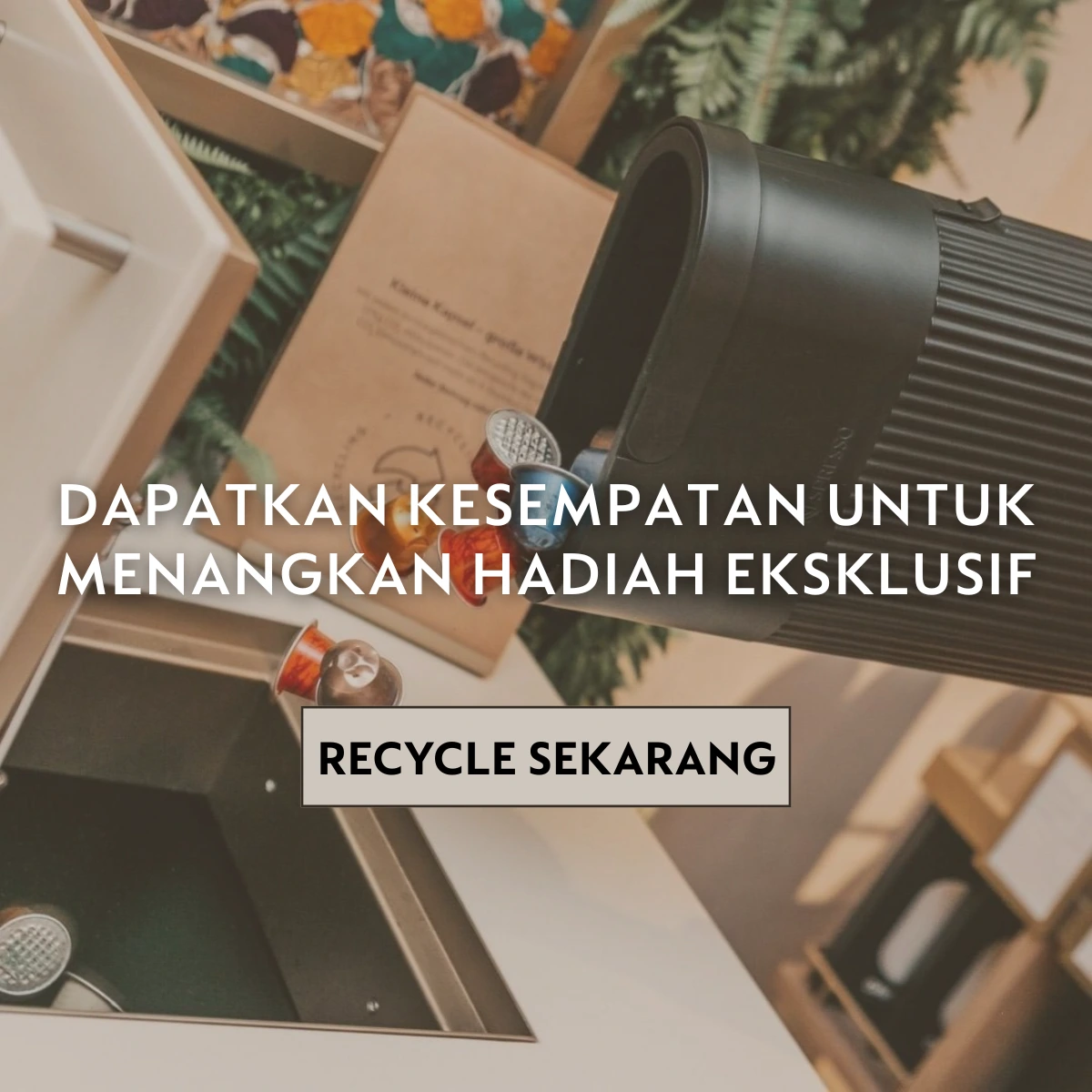 nespresso accessories collection