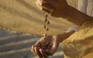 Supporting livelihoods 
